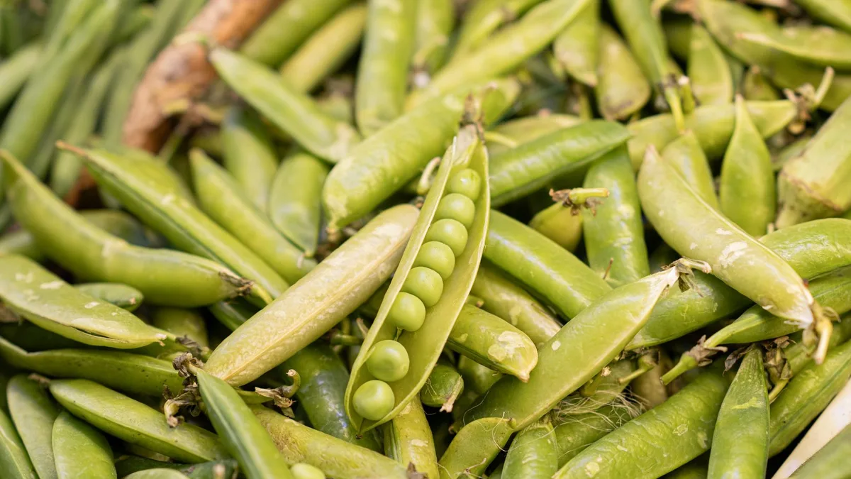 Pea assurance ou pea bancaire : Cumuler PEA et assurance vie